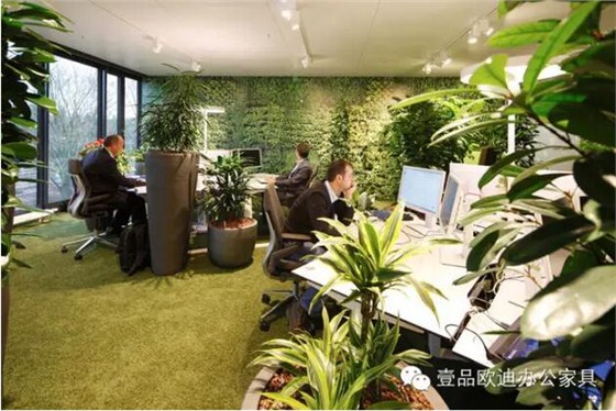 為什么辦公室里一定要養植物？-壹品歐迪辦公家具