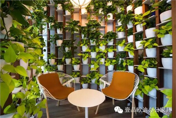為什么辦公室里一定要養植物？-壹品歐迪辦公家具