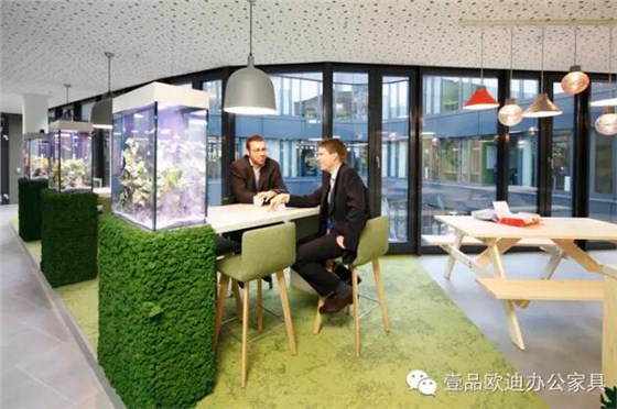 為什么辦公室里一定要養植物？-壹品歐迪辦公家具