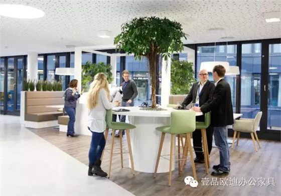 為什么辦公室里一定要養植物？-壹品歐迪辦公家具