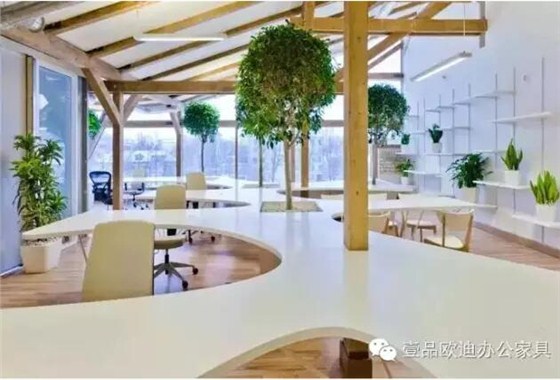 為什么辦公室里一定要養植物？-壹品歐迪辦公家具
