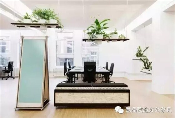 為什么辦公室里一定要養植物？-壹品歐迪辦公家具