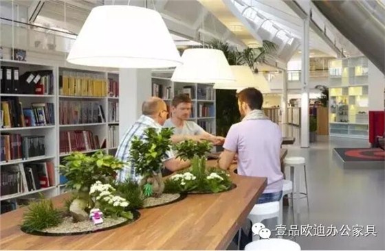 為什么辦公室里一定要養植物？-壹品歐迪辦公家具