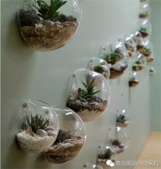為什么辦公室里一定要養植物？-壹品歐迪辦公家具